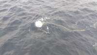 Great day of scuba diving in Key Largo with Rainbow Reef on spiegel grove tropical adventure 2014 09 13 r775 1
