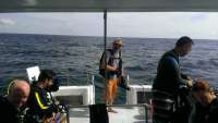 Great day of scuba diving in Key Largo with Rainbow Reef on spiegel grove tropical explorer 2014 09 20 r798 1