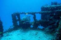 Great day of scuba diving in Key Largo with Rainbow Reef on spiegel grove tropical odyssey 2014 09 01 r729 1