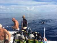 Great day of scuba diving in Key Largo with Rainbow Reef on spiegel grove tropical voyager 2014 09 11 r766 2