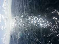Great day of scuba diving in Key Largo with Rainbow Reef on spiegel grove tropical voyager 2014 09 16 r784 1