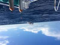 Great day of scuba diving in Key Largo with Rainbow Reef on uscgc duane tropical adventure 2014 09 03 r739 2