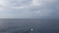 Great day of scuba diving in Key Largo with Rainbow Reef on uscgc duane tropical adventure 2014 09 19 r792 1
