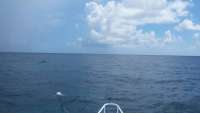 Great day of scuba diving in Key Largo with Rainbow Reef on winch hole tropical adventure 2014 09 28 r830 1