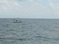 Great day of scuba diving in Key Largo with Rainbow Reef on winch hole tropical odyssey 2014 09 22 r808 2
