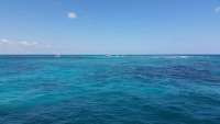 Great day of scuba diving in Key Largo with Rainbow Reef on banana patch tropical adventure 2015 04 02 r1355 1