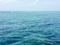 Great day of scuba diving in Key Largo with Rainbow Reef on banana patch tropical adventure 2015 04 27 r1449 1