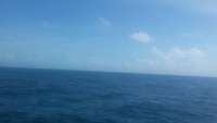 Great day of scuba diving in Key Largo with Rainbow Reef on benwood wreck tropical odyssey 2015 04 12 r1392 1