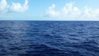 Great day of scuba diving in Key Largo with Rainbow Reef on benwood wreck tropical odyssey 2015 04 26 r1444 1
