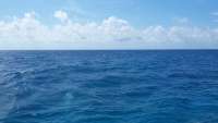 Great day of scuba diving in Key Largo with Rainbow Reef on christ statue tropical adventure 2015 04 11 r1390 1