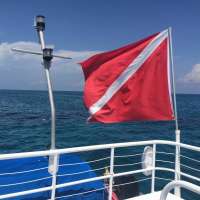 Great day of scuba diving in Key Largo with Rainbow Reef on christ statue tropical adventure 2015 04 23 r1434 1