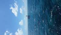 Great day of scuba diving in Key Largo with Rainbow Reef on city of washington tropical adventure 2015 04 09 r1381 1