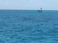 Great day of scuba diving in Key Largo with Rainbow Reef on city of washington tropical adventure 2015 04 14 r1403 2