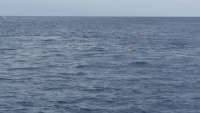 Great day of scuba diving in Key Largo with Rainbow Reef on conch wall tropical adventure 2015 04 22 r1429 1
