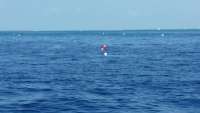 Great day of scuba diving in Key Largo with Rainbow Reef on drift french tropical explorer 2015 04 24 r1436 1