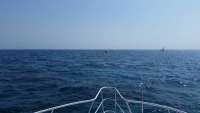 Great day of scuba diving in Key Largo with Rainbow Reef on elbow reef tropical adventure 2015 04 26 r1445 1