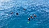 Great day of scuba diving in Key Largo with Rainbow Reef on french reef tropical odyssey 2015 04 05 r1364 1