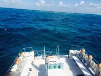 Great day of scuba diving in Key Largo with Rainbow Reef on french reef tropical voyager 2015 04 11 r1388 1