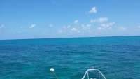 Great day of scuba diving in Key Largo with Rainbow Reef on minnow cave tropical adventure 2015 04 04 r1361 1