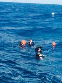 Great day of scuba diving in Key Largo with Rainbow Reef on molasses reef tropical explorer 2015 04 10 r1383 1