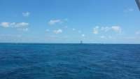Great day of scuba diving in Key Largo with Rainbow Reef on molasses reef tropical odyssey 2015 04 03 r1356 1