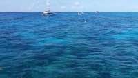 Great day of scuba diving in Key Largo with Rainbow Reef on molasses reef tropical odyssey 2015 04 16 r1410 1