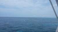 Great day of scuba diving in Key Largo with Rainbow Reef on molasses reef tropical odyssey 2015 04 22 r1428 1