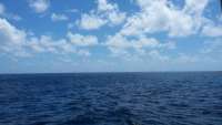 Great day of scuba diving in Key Largo with Rainbow Reef on north star tropical odyssey 2015 04 09 r1380 1