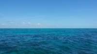 Great day of scuba diving in Key Largo with Rainbow Reef on sand island tropical adventure 2015 04 04 r1359 1