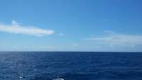 Great day of scuba diving in Key Largo with Rainbow Reef on spiegel grove tropical adventure 2015 04 19 r1420 1