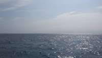 Great day of scuba diving in Key Largo with Rainbow Reef on spiegel grove tropical odyssey 2015 04 30 r1453 1