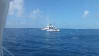 Great day of scuba diving in Key Largo with Rainbow Reef on uscgc duane tropical explorer 2015 04 11 r1389 1