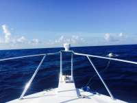 Great day of scuba diving in Key Largo with Rainbow Reef on uscgc duane tropical explorer 2015 04 20 r1421 1