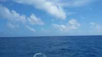 Great day of scuba diving in Key Largo with Rainbow Reef on woodys tropical adventure 2015 04 10 r1385 1