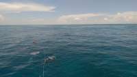 Great day of scuba diving in Key Largo with Rainbow Reef on benwood wreck tropical odyssey 2015 08 22 r1928 1