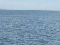 Great day of scuba diving in Key Largo with Rainbow Reef on city of washington tropical odyssey 2015 08 25 r1943 1
