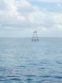 Great day of scuba diving in Key Largo with Rainbow Reef on drift molasses tropical explorer 2015 08 02 r1837 1