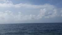 Great day of scuba diving in Key Largo with Rainbow Reef on drift molasses tropical voyager 2015 08 05 r1853 1