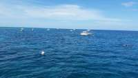 Great day of scuba diving in Key Largo with Rainbow Reef on fire coral cave tropical voyager 2015 08 09 r1868 1