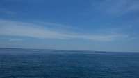 Great day of scuba diving in Key Largo with Rainbow Reef on french reef tropical adventure 2015 08 12 r1874 1