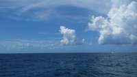 Great day of scuba diving in Key Largo with Rainbow Reef on french reef tropical adventure 2015 08 28 r1949 1