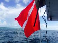 Great day of scuba diving in Key Largo with Rainbow Reef on french reef tropical voyager 2015 08 16 r1893 1