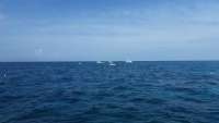 Great day of scuba diving in Key Largo with Rainbow Reef on molasses reef tropical adventure 2015 08 03 r1841 1