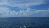 Great day of scuba diving in Key Largo with Rainbow Reef on permit ledges tropical adventure 2015 08 14 r1890 1