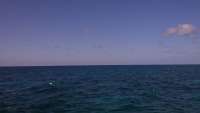 Great day of scuba diving in Key Largo with Rainbow Reef on pickles reef tropical odyssey 2015 08 07 r1859 1