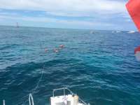 Great day of scuba diving in Key Largo with Rainbow Reef on pillar coral tropical voyager 2015 08 21 r1924 1