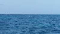 Great day of scuba diving in Key Largo with Rainbow Reef on sand island tropical explorer 2015 08 01 r1830 1