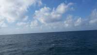 Great day of scuba diving in Key Largo with Rainbow Reef on spanish anchor tropical odyssey 2015 08 29 r1953 1