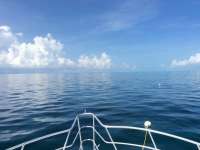 Great day of scuba diving in Key Largo with Rainbow Reef on spiegel grove tropical adventure 2015 08 08 r1862 1