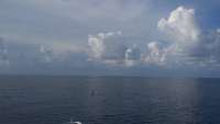 Great day of scuba diving in Key Largo with Rainbow Reef on spiegel grove tropical adventure 2015 08 13 r1881 1
